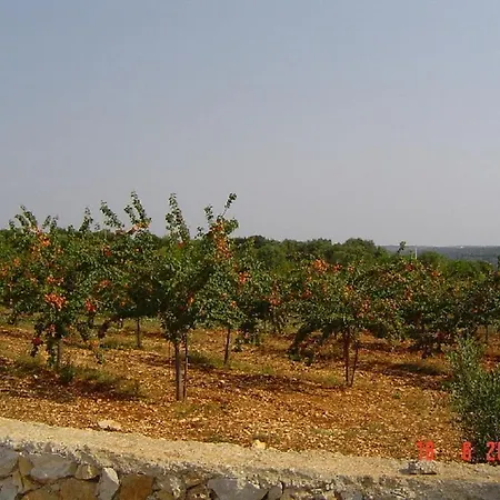 Agritria Di Umberto Anglisani Farm stay *